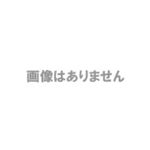 アスカ プリンセス防犯ブザー チャーム ピンク GE037P