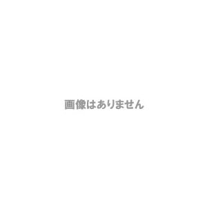 アスカ 防犯ブザー シンプル イエロー GE039Y