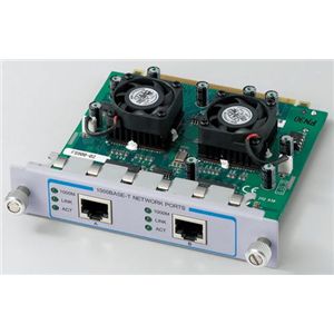 アライドテレシス CentreCOM FS900-02 FS924TX V1用拡張モジュール(FS924TX V1用拡張モジュール 1000BASE-T×2 ) 39111