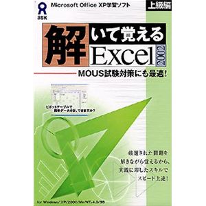 アスク 解いて覚える Excel 2002 上級編