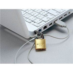 BUFFALO 防犯グッズ スロットパーツ&南京錠&ワイヤー2.2Φx2mセット BSQSN01A