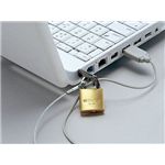 BUFFALO 防犯グッズ スロットパーツ&南京錠&ワイヤー2.2Φx2mセット BSQSN01A