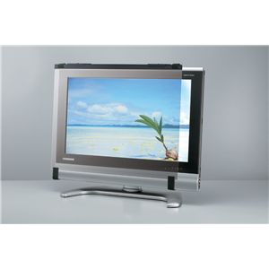 BUFFALO 液晶TVガード ハードタイプ 反射防止 40型ワイド対応 BSTV08HN40
