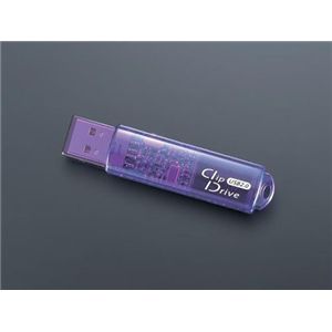 バッファロー USBメモリ スタンダードタイプ ブルーモデル 2GB RUF-C2GS-BL/U2