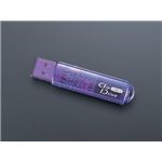 バッファロー USBメモリ スタンダードタイプ ブルーモデル 2GB RUF-C2GS-BL/U2