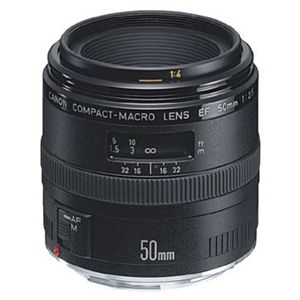 キヤノン マクロレンズ EF50mm F2.5 コンパクトマクロ(8群9枚)[2537A002] EF5025M