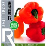 データクラフト 素材辞典[R(アール)] 006 フレッシュ野菜&フルーツ HR-SR006