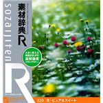 データクラフト 素材辞典[R(アール)] 020 花・ピュア&スイート HR-SR020