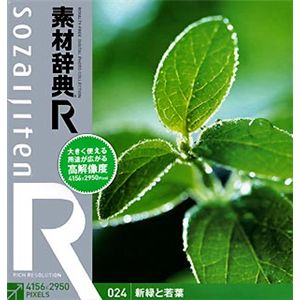 データクラフト 素材辞典[R(アール)] 024 新緑と若葉 HR-SR024