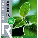 データクラフト 素材辞典[R(アール)] 024 新緑と若葉 HR-SR024