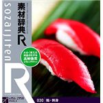 データクラフト 素材辞典[R(アール)] 030 鮨・刺身 HR-SR030