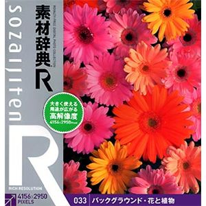データクラフト 素材辞典[R(アール)] 033 バックグラウンド・花と植物 HR-SR033