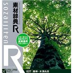 データクラフト 素材辞典[R(アール)] 037 森林・木洩れ日 HR-SR037