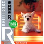 データクラフト 素材辞典[R(アール)] 043 子犬と子猫 HR-SR043