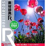 データクラフト 素材辞典[R(アール)] 050 花と青空・ハッピーフラワー HR-SR050