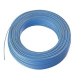 エレコム カテゴリー5準拠 スーパーフラットイーサネットケーブル(ケーブルのみ/100m ブルー) LD-CTFS/BU100