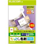 エレコム なっとく名刺(インクジェット専用光沢紙 マイクロミシンカット 厚口) ホワイト MT-KMN2WNZ