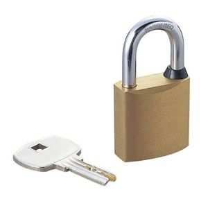 エレコム セキュリティロックパーツ (南京錠) ESL-NKD