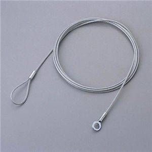 エレコム セキュリティロックパーツ (ワイヤー) ESL-W0546