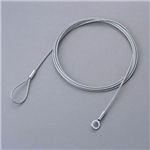 エレコム セキュリティロックパーツ (ワイヤー) ESL-W0556