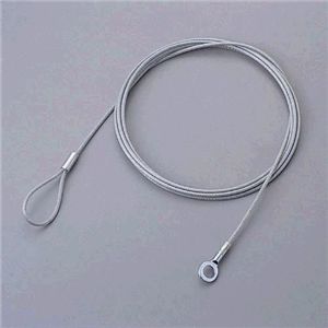 エレコム セキュリティロックパーツ (ワイヤー) ESL-W3038