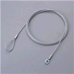 エレコム セキュリティロックパーツ (ワイヤー) ESL-W3038