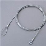 エレコム セキュリティロックパーツ (ワイヤー) ESL-W5056