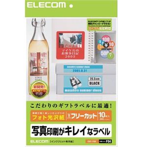 エレコム フリーカットラベル フォト光沢紙 EDT-FKK