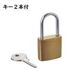 エレコム セキュリティロック ESL-NKM