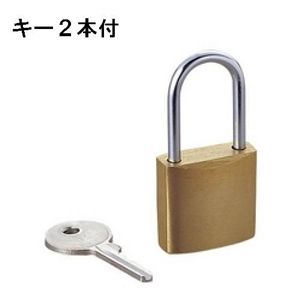 エレコム セキュリティロック ESL-NKS