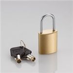 エレコム シリンダ南京錠統一キー仕様 ESL-NK02S