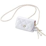 エレコム U-styleデジタルカメラケース/エナメル/ホワイト DGB-051WH