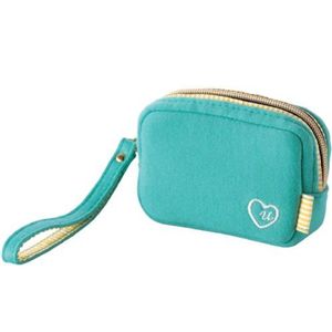 エレコム U-styleデジタルカメラケース/ストライプ/グリーン DGB-052GN