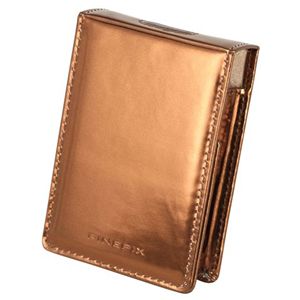 富士フイルム ソフトケースSC-FXZ100 ブラウンゴールド SC-FXZ100BG