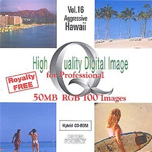 イメージギャップ High Quality Digital Image for Professional Vol.16 Aggressive Hawaii MUUS016