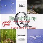 イメージギャップ High Quality Digital Image for Professional Birds 2 MUUS030