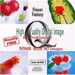 イメージギャップ High Quality Digital Image for Professional Flower Fantasy MUUS031