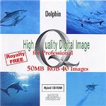 イメージギャップ High Quality Digital Image for Professional Dolphin MUUS033