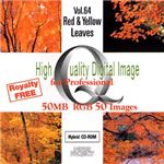 イメージギャップ High Quality Digital Image for Professional Vol.64 Red & Yellow Leaves MUUS064