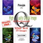 イメージギャップ High Quality Digital Image for Professional Principle <1> MUUS042