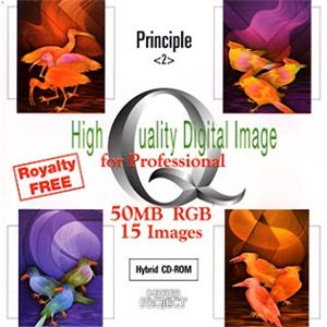 イメージギャップ High Quality Digital Image Principle 2 MUUS043