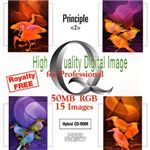 イメージギャップ High Quality Digital Image Principle 2 MUUS043