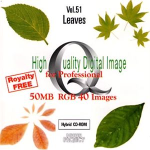 イメージギャップ High Quality Digital Image for Professional Vol.51 Leaves MUUS051