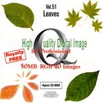 イメージギャップ High Quality Digital Image for Professional Vol.51 Leaves MUUS051