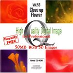 イメージギャップ High Quality Digital Image for Professional Vol.53 Colse up Flower MUUS053