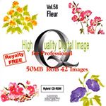 イメージギャップ High Quality Digital Image for Professional Vol.58 Fleur MUUS058