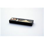 Hacoa 木製USBメモリ Urushi 黒富士 2GB H904-KF2G