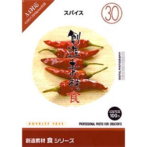 イメージランド 創造素材 食(30) スパイス 935651