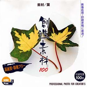 イメージランド 創造素材100 素材/葉 935518