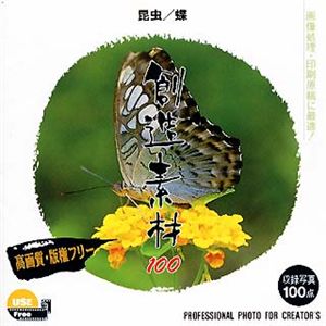 イメージランド 創造素材100 昆虫/蝶 Vol.1 935532